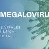 Cytomegalovirus