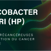 Helicobacter pylori(HP)