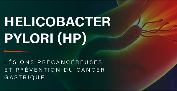 Helicobacter pylori(HP)