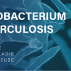 Mycobacterium tuberculoses